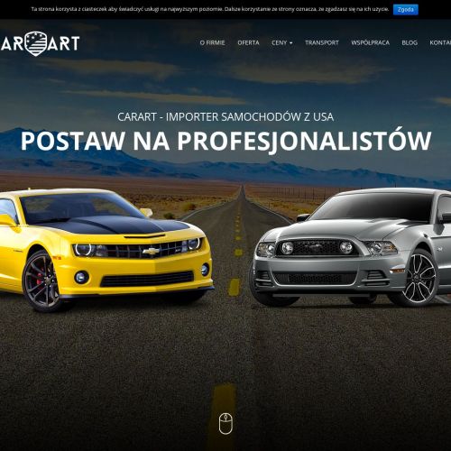 Koszty sprowadzenia auta z USA