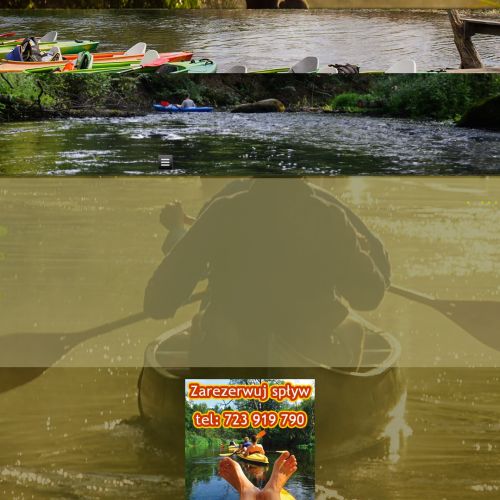 Spływy kajakowe po Wieprzu