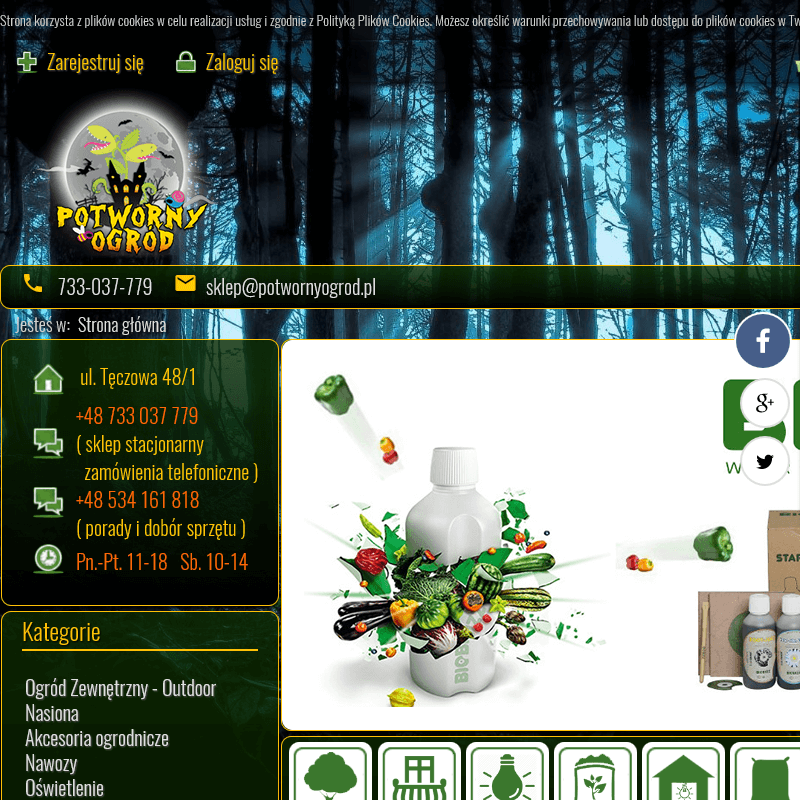 Chrobotek reniferowy